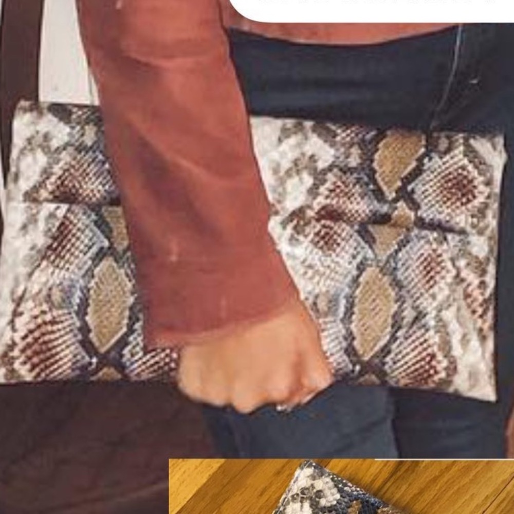 South Moon Under Snakeskin Multicolor Clutch